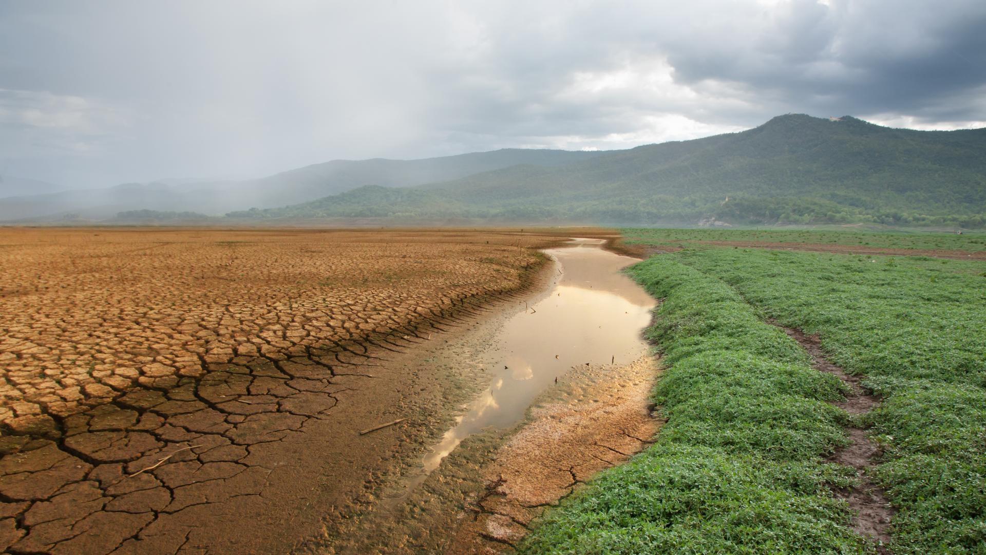 Droogte in beeld