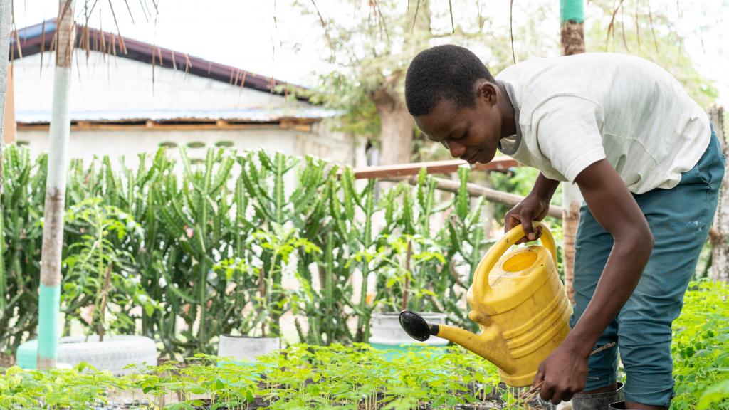 Beeld landbouwproject Haiti.jpg