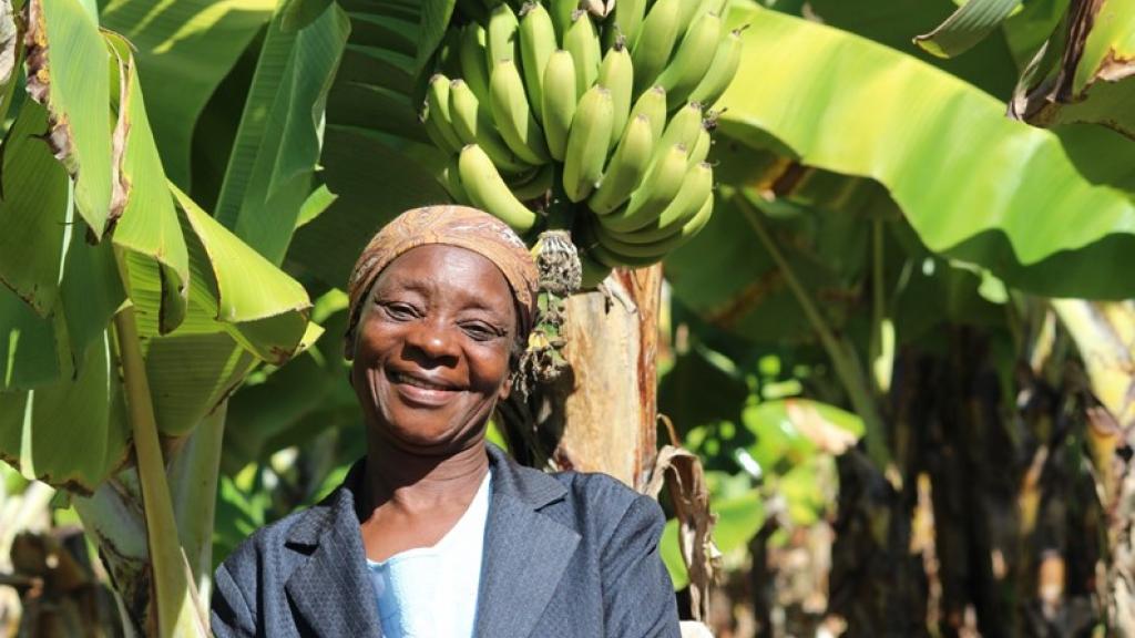 Succesvol landbouwproject Zimbabwe biedt voedselzekerheid